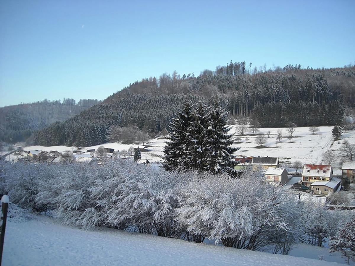 Cosy Holiday Home With Garden In Walscheid Екстер'єр фото
