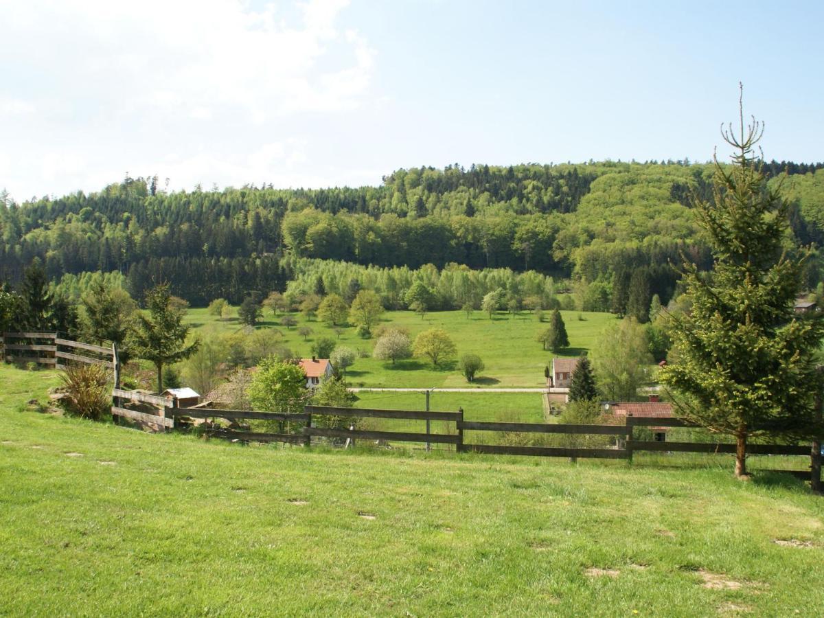 Cosy Holiday Home With Garden In Walscheid Екстер'єр фото